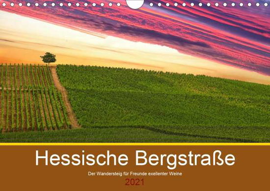 Cover for Robert · Hessische Bergstraße - Der Wande (Book)