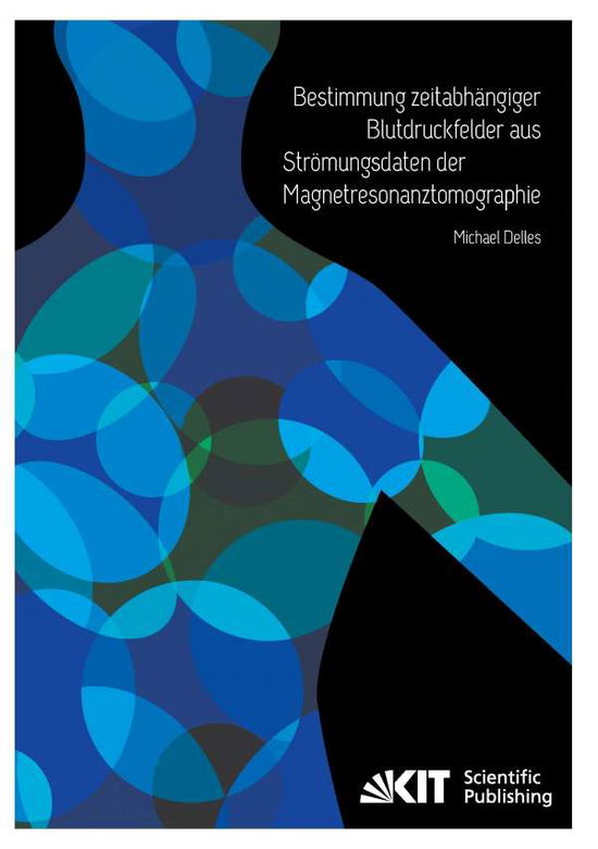 Cover for Delles · Bestimmung zeitabhängiger Blutdr (Buch)