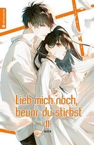 Cover for Sora · Lieb mich noch, bevor du stirbst 11 (Paperback Book) (2022)