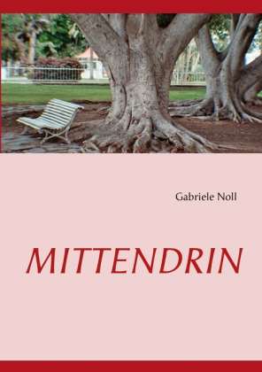 Cover for Noll · Mittendrin (Book)