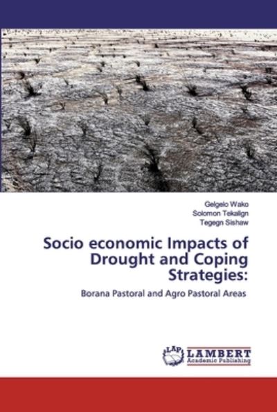 Cover for Wako · Socio economic Impacts of Drought (Book) (2020)