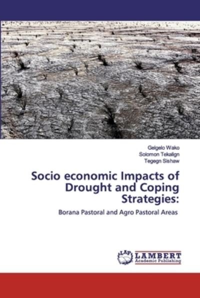 Cover for Wako · Socio economic Impacts of Drought (Bog) (2020)