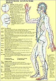 Cover for Jan van Baarle · Symptomatic Acupuncture Points -- A4 (Plakat) (2003)