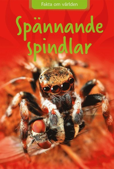 Cover for Sarah Snashall · Spännande spindlar (Gebundesens Buch) (2022)