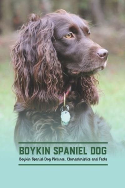 Cover for Gosnell Mollie · Boykin Spaniel Dog: Boykin Spaniel Dog Pictures, Characteristics and Facts (Paperback Book) (2022)