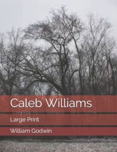 Cover for William Godwin · Caleb Williams (Paperback Book) (2021)