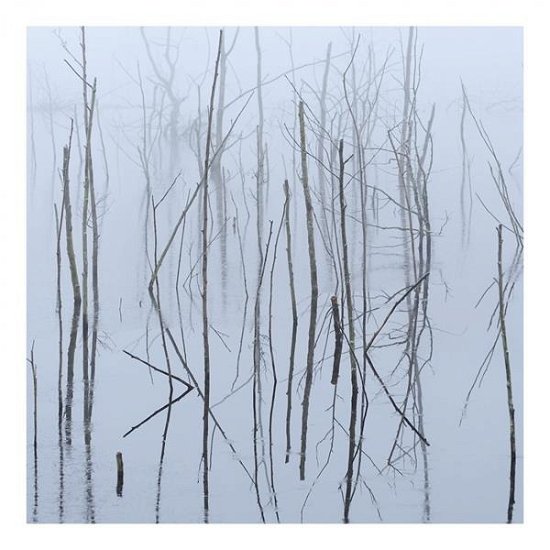 Cover for Olhava · Frozen Bloom (LP) (2021)