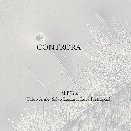 Cover for Alp Trio · Controra (CD)