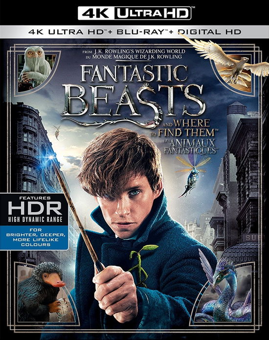 Cover for 4k Ultra Hd · Fantastic Beasts and Where To Find Them [4K UHD + Blu-Ray + UV Digital Copy] (4K Ultra HD) (2017)