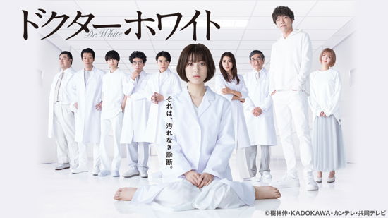 Cover for Hamabe Minami · Doctor White DVD Box (MDVD) [Japan Import edition] (2022)