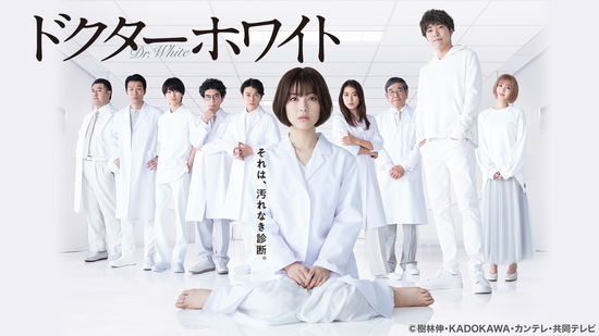 Cover for Hamabe Minami · Doctor White Dvd-box (MDVD) [Japan Import edition] (2022)