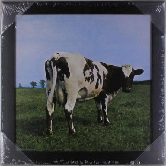 Pink Floyd: Atom Heart Mother -12" Album Cover Framed Print- (Cornice Lp) - Pink Floyd - Merchandise - Pyramid Posters - 5050574856355 - 6. november 2015