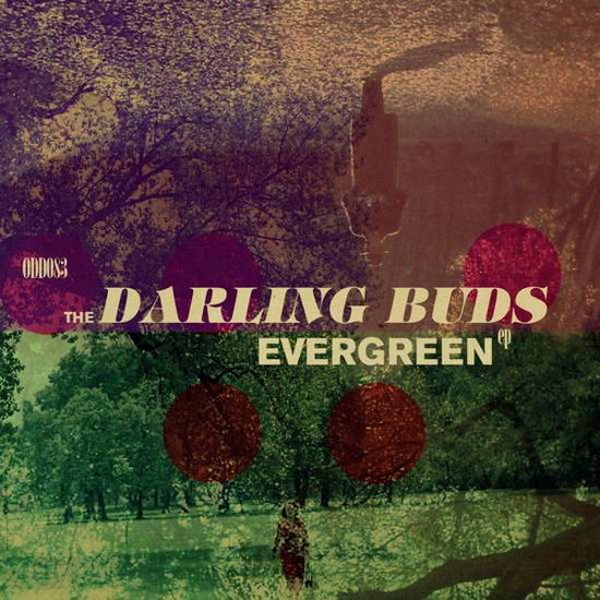 Cover for The Darling Buds · Evergreen EP (VINYL) (2017)