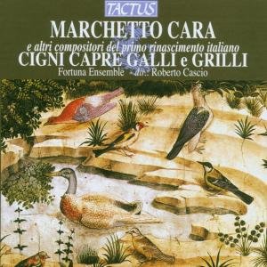 Cover for Cara / Curti / Ferrari · Cigni Capre Galli E Grilli (CD) (1999)