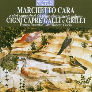 Cigni Capre Galli E Grilli - Cara / Curti / Ferrari - Musik - TACTUS - 8007194101355 - 1999