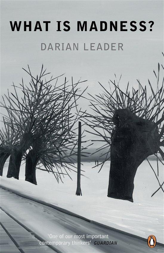 Cover for Darian Leader · What is Madness? (Paperback Bog) (2012)