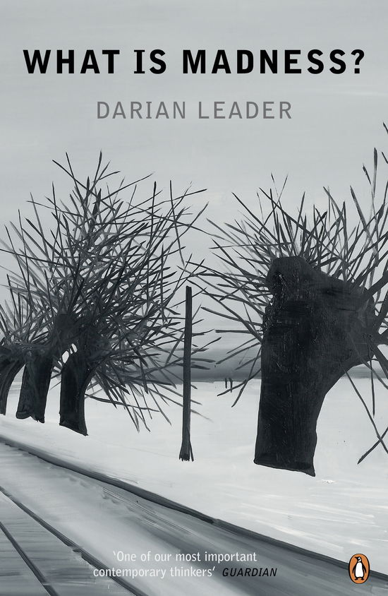 Cover for Darian Leader · What is Madness? (Pocketbok) (2012)