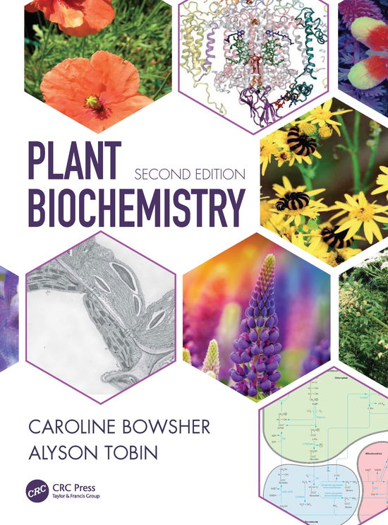 Cover for Bowsher, Caroline (University of Manchester, UK) · Plant Biochemistry (Hardcover Book) (2021)