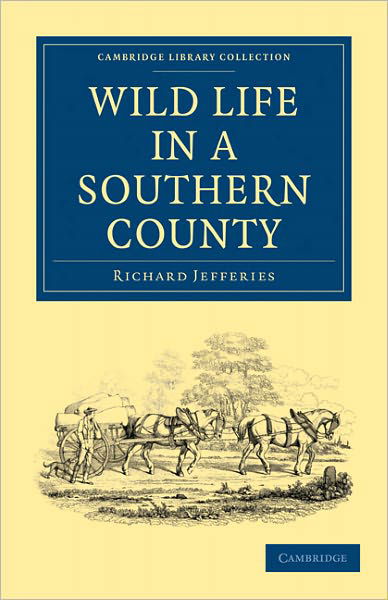 Cover for Richard Jefferies · Wild Life in a Southern County - Cambridge Library Collection - Zoology (Paperback Book) (2011)