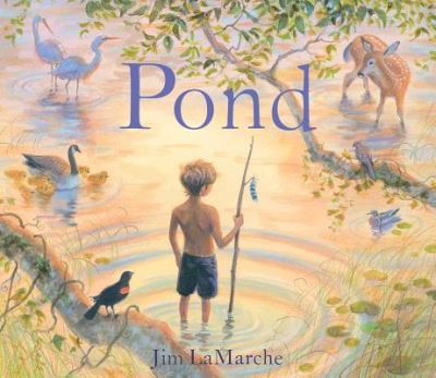 Cover for Pond (Hardcover Book) (2016)