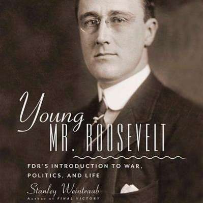 Cover for Stanley Weintraub · Young Mr. Roosevelt: Fdr's Introduction to War, Politics, and Life (CD) (2013)