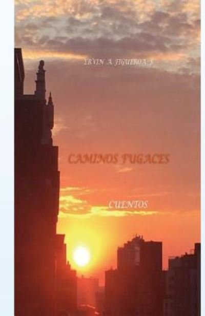 Senderos Fugaces - Ervin a Figueroa B - Kirjat - Createspace Independent Publishing Platf - 9781540326355 - torstai 2. maaliskuuta 2017