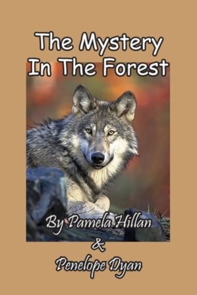 Cover for Pamela Hillan · The Mystery In The Forest (Paperback Book) (2021)