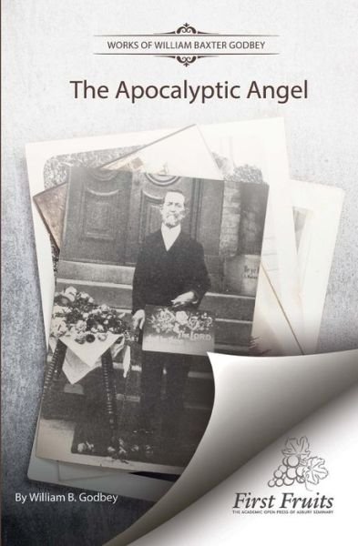 Cover for W B Godbey · The Apocalyptic Angel (Paperback Book) (2017)