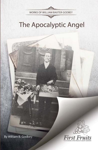 Cover for W B Godbey · The Apocalyptic Angel (Paperback Book) (2017)