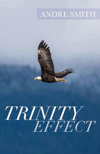 Cover for Andre Smith · Trinity Effect (Paperback Book) (2019)