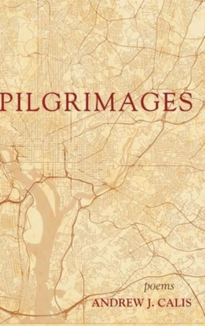 Cover for Andrew J Calis · Pilgrimages (Hardcover Book) (2020)