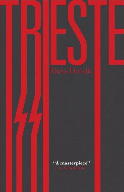 Cover for Dasa Drndic · Trieste (Paperback Book) (2013)