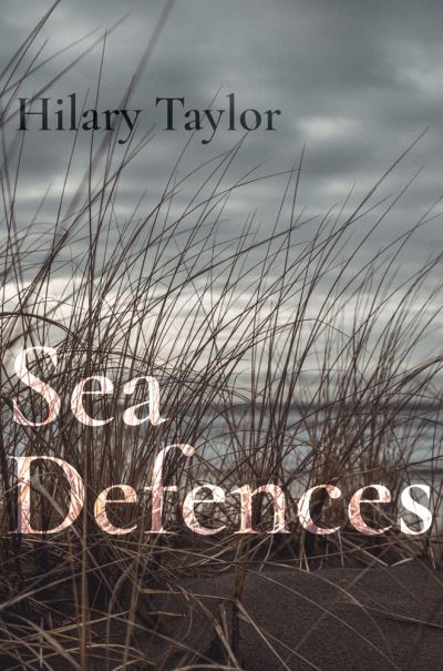 Cover for Hilary Taylor · Sea Defences (Paperback Book) (2023)