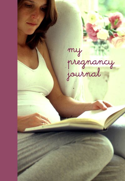 My Pregnancy Journal - Rps - Bøger - Ryland, Peters & Small Ltd - 9781841724355 - 9. juli 2015
