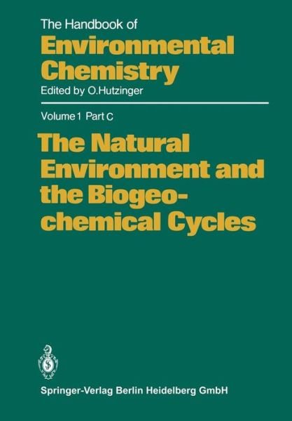 Cover for G G Choudhry · The Natural Environment and the Biogeochemical Cycles - The Natural Environment and the Biogeochemical Cycles (Taschenbuch) [Softcover reprint of the original 1st ed. 1984 edition] (2013)