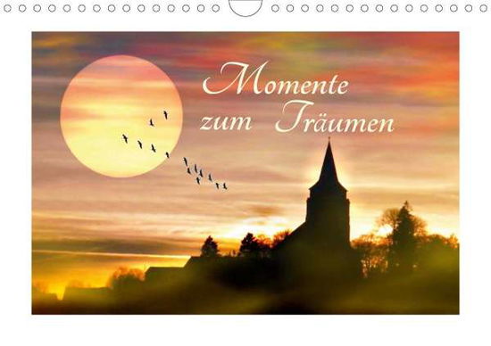 Cover for Laake · Momente zum Träumen (Wandkalender (Bog)