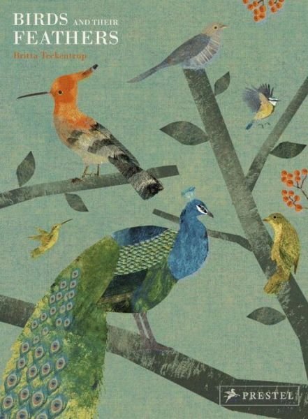 Cover for Britta Teckentrup · Birds and Their Feathers (Inbunden Bok) (2018)