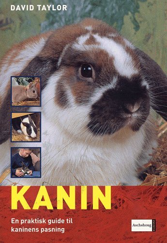 Kanin - David Taylor - Bøger - Aschehoug - 9788711264355 - 4. august 2005
