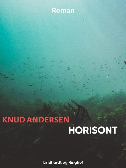 Cover for Knud Andersen · Horisont (Taschenbuch) [1. Ausgabe] (2018)