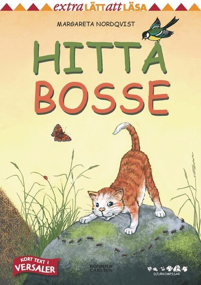 Cover for Margareta Nordqvist · Djurkompisar: Hitta Bosse (Indbundet Bog) (2013)