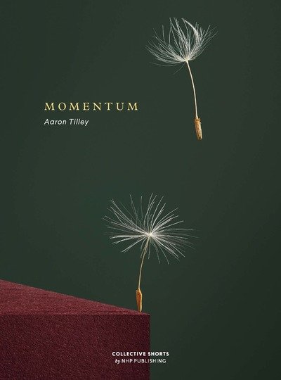 Cover for Aaron Tilley · Momentum (Innbunden bok) (2018)