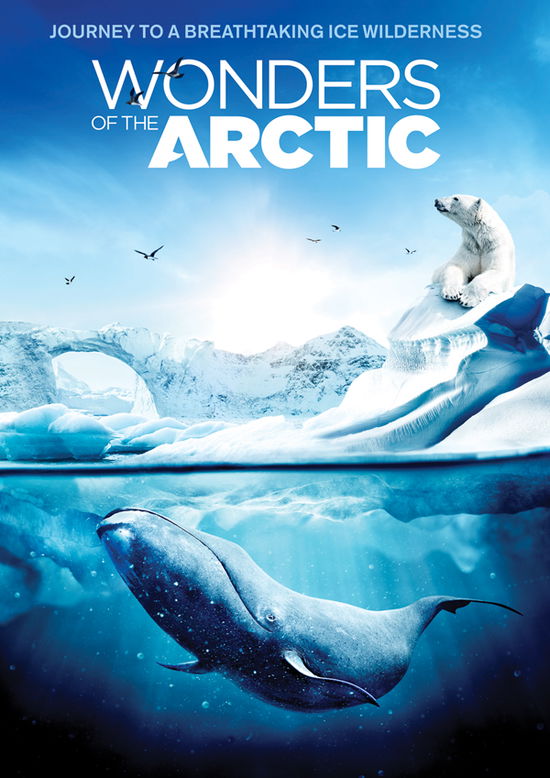 Cover for Wonders of the Arctic (DVD) (2021)