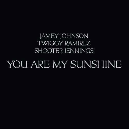 Shooter Jennings / Jamey Johnson / Twiggy Ramirez · You Are My Sunshine (LP) (2021)