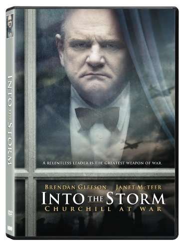Cover for Into the Storm (DVD) (2009)
