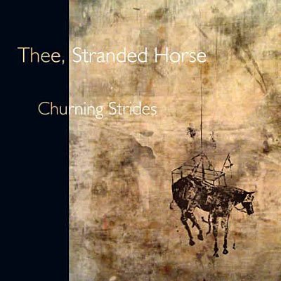 Cover for Stranded Horse · Churning Strides (CD)