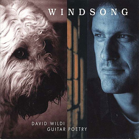 Cover for David Wildi · Windsong (CD) (2014)