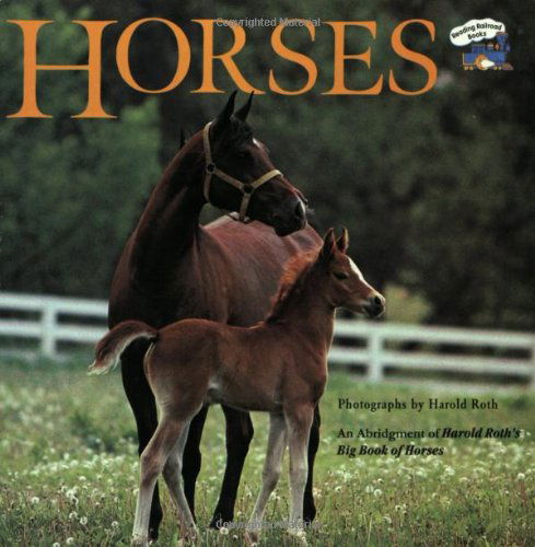 Cover for Laura Driscoll · Horses: An Abridgement of Harold Roth's Big Book of Horses (Paperback Book) (1997)