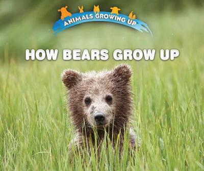 Cover for Heather Moore Niver · How Bears Grow Up (Hardcover Book) (2018)