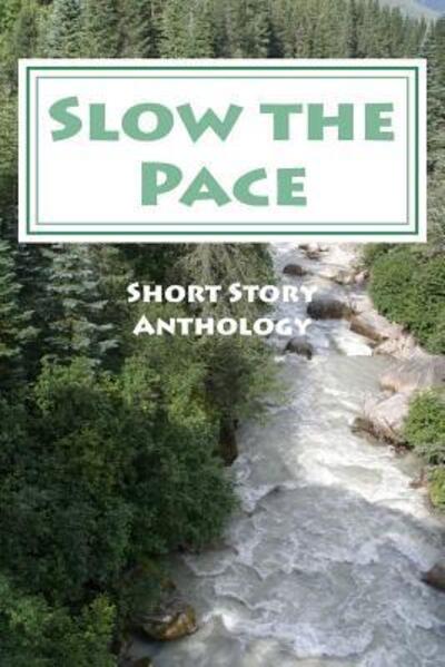 Cover for Ronna L. Edelstein · Slow the Pace (Paperback Book) (2016)