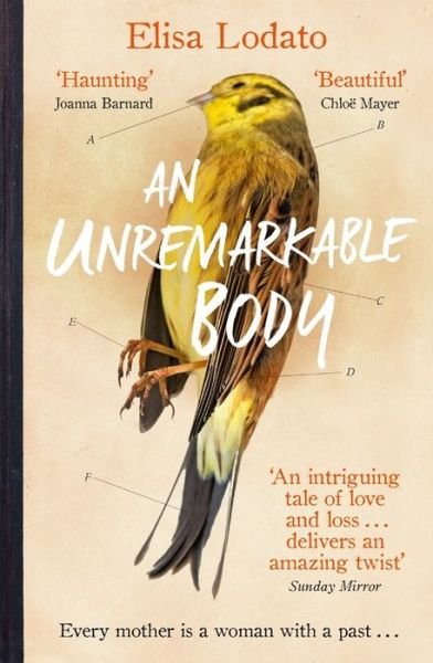An Unremarkable Body: Shortlisted for the Costa First Novel Award 2018 - Elisa Lodato - Books - Orion Publishing Co - 9781474606356 - July 12, 2018